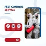 شركة مكافحة حشرات بمكة