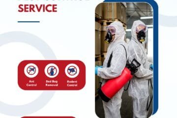 كيف تحمي مكان عملك من الحشرات بمساعدة شركة مكافحة في الطائف؟