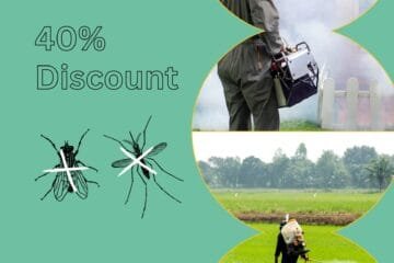 خدمات شركة مكافحة الحشرات في الطائف: جودة وكفاءة