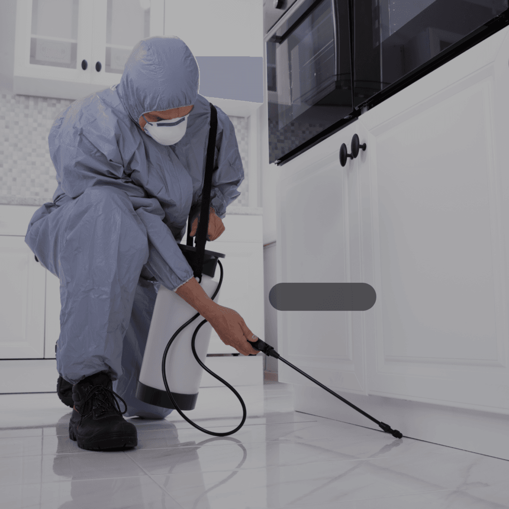 أهم الفوائد التي تحصل عليها عند الاستعانة بشركة مكافحة حشرات في مكة