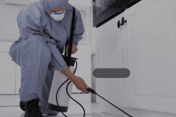 ما هي أهم الخدمات التي تقدمها شركة مكافحة الحشرات في الرياض؟