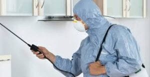 تميز شركة مكافحة الحشرات في مكة بخدماتها المميزة