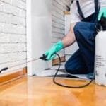 مكافحة الحشرات