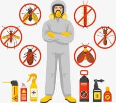 خدمات شركات مكافحة الحشرات وأسعارها في الرياض