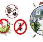 شركة رش حشرات