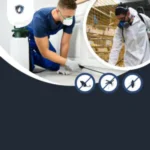 شركة مكافحة حشرات بالطائف