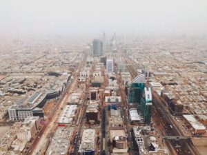 أهمية اختيار شركة مكافحة حشرات موثوقة في الرياض للحفاظ على صحة الأسرة