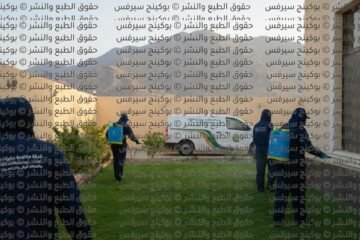 شركة مكافحة حشرات بالطائف: أفضل الحلول الآمنة والفعالة للرش والتخلص من الآفات