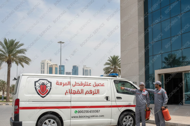 شركة مكافحة حشرات بالدمام: أفضل الحلول الفعالة والآمنة لمنزلك ومؤسستك
