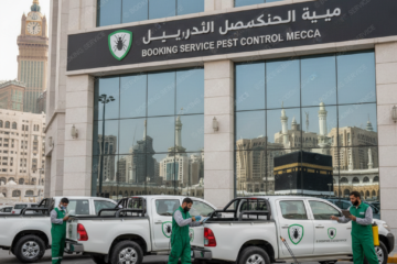 شركة مكافحة حشرات بمكة: الحلول الآمنة والفعالة لمنزلك ومؤسستك