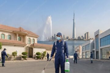 منزلك في جدة بلا آفات: دليلك الشامل لاختيار الخبير الأمثل لمكافحة الحشرات