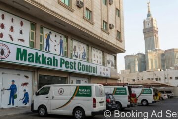 شركة مكافحة حشرات بمكة: دليلك الشامل لبيئة خالية من الآفات