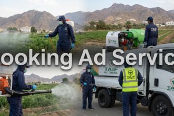 الطائف نظيفة وآمنة: دليلك الشامل لاختيار شركة مكافحة حشرات موثوقة