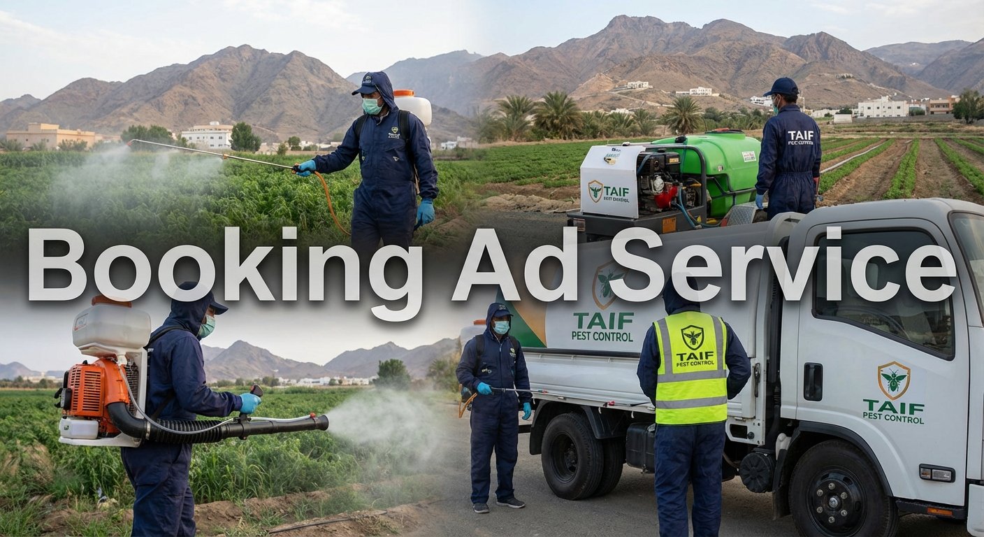 الطائف نظيفة وآمنة: دليلك الشامل لاختيار شركة مكافحة حشرات موثوقة