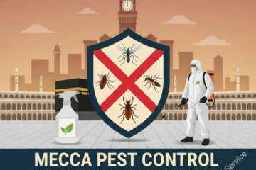 حماية منزلك وعملك في مكة: دليلك الشامل لشركات مكافحة الحشرات الموثوقة