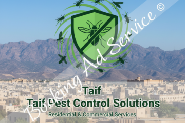 مكافحة الحشرات في الطائف: دليلك المتكامل لبيت ينبض بالصحة والراحة