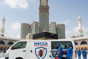 شركة مكافحة حشرات بمكة: دليلك الشامل لاختيار الأفضل وحماية منزلك