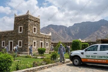 الراحة والأمان في منزلك: كيف تختار شركة مكافحة حشرات بالطائف موثوقة للتخلص من الآفات نهائياً
