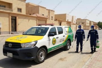 شركة مكافحة حشرات بالدمام: دليلك الشامل لبيئة خالية من الآفات