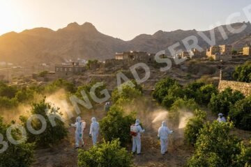 شركة مكافحة حشرات بالطائف: دليلك الشامل للتخلص الآمن والفعال من الآفات