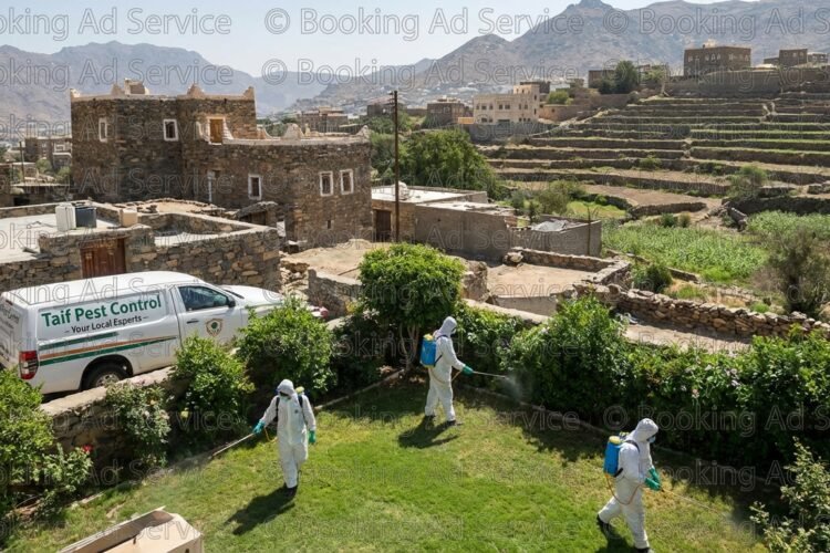 حماية منزلك في الطائف: دليلك المتكامل لمكافحة الحشرات بفعالية