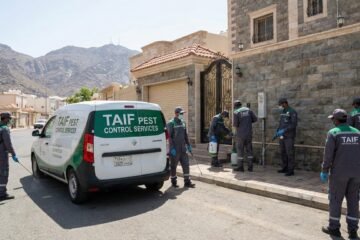 وداعاً لآفات الطائف: دليلك المتكامل لمنزل آمن وبيئة صحية دائمة مع خبراء المكافحة