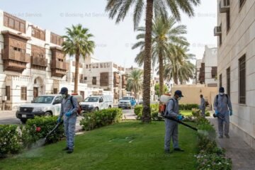 القضاء على الآفات: دليلك لاختيار أفضل شركة مكافحة حشرات بجدة