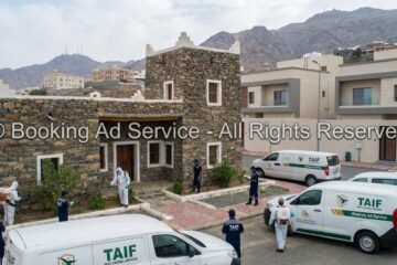 شركة مكافحة حشرات بالطائف: دليلك الشامل لمنزل خالٍ من الآفات ومحيط آمن