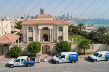 الدمام بلا حشرات: دليلك الشامل لمكافحة الآفات بفعالية وأمان في منزلك