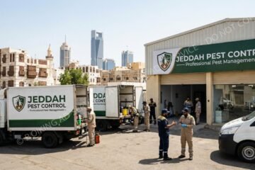 جدة بلا حشرات: دليلك المتكامل لاختيار أفضل شركة مكافحة آفات لمنزلك