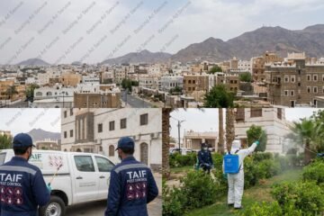 حماية بيتك في الطائف: دليلك الشامل لمنزل خالٍ من الآفات مع خبراء المكافحة