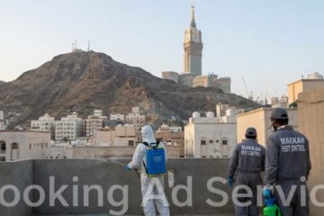 شركة مكافحة حشرات بمكة: دليلك الشامل لبيئة نظيفة وآمنة