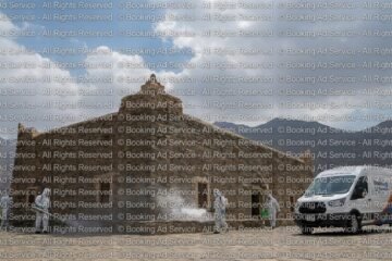 شركة مكافحة حشرات بالطائف: دليلك الشامل لبيئة نظيفة وخالية من الآفات