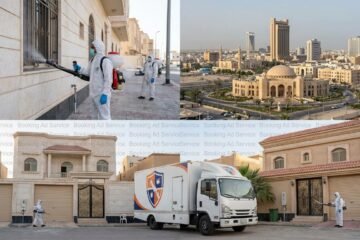 وداعاً للآفات: شركة مكافحة حشرات بالدمام تقدم لك بيئة نظيفة وآمنة بأفضل الأسعار