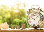 مكافحة ثعابين وعقارب بمكة – عرض ٣٢