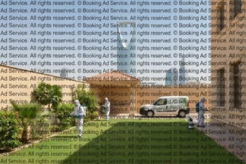الرياض خالية من الآفات: دليلك الكامل لاختيار أفضل شركة رش مبيدات لمنزل آمن وصحي