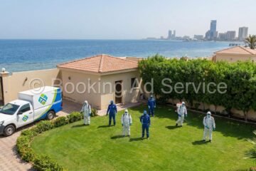 وداعًا للحشرات والقوارض: دليلك الشامل لاختيار أفضل شركة رش مبيدات بجدة لبيت آمن وصحي