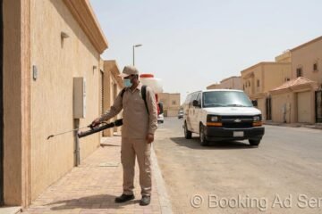 مكافحة حشرات بجدة: استعد لبيئة منزلية آمنة خالية من الآفات، دليلك المتكامل