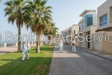 جدة بلا حشرات: دليلك المتكامل لاختيار أفضل شركة مكافحة آفات لمنزل آمن وصحي