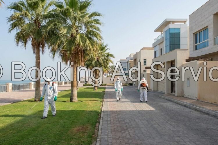 جدة بلا حشرات: دليلك المتكامل لاختيار أفضل شركة مكافحة آفات لمنزل آمن وصحي