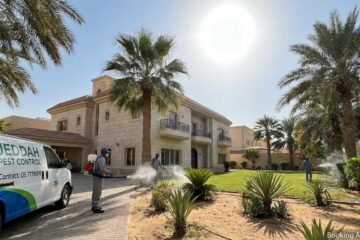 مكافحة حشرات بجدة: دليلك الشامل لمنزل خالٍ من الآفات وبيئة صحية